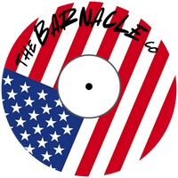 USA Flag
